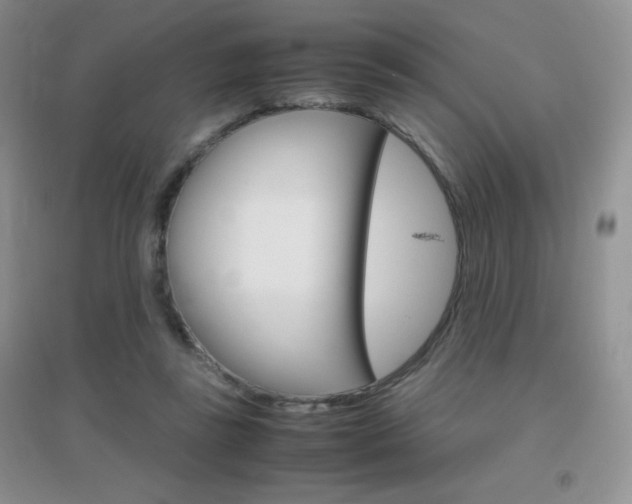 X0000096940355200802080903