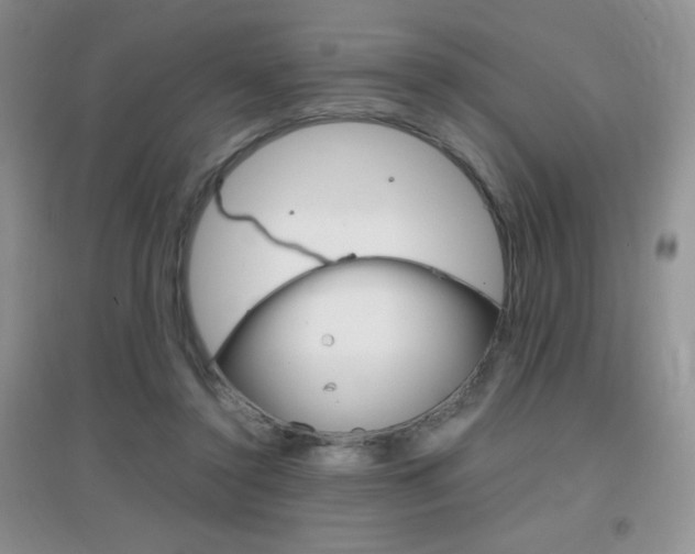 X0000096940356200802080903