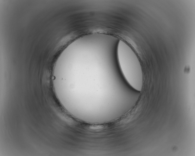 X0000096940357200802080903