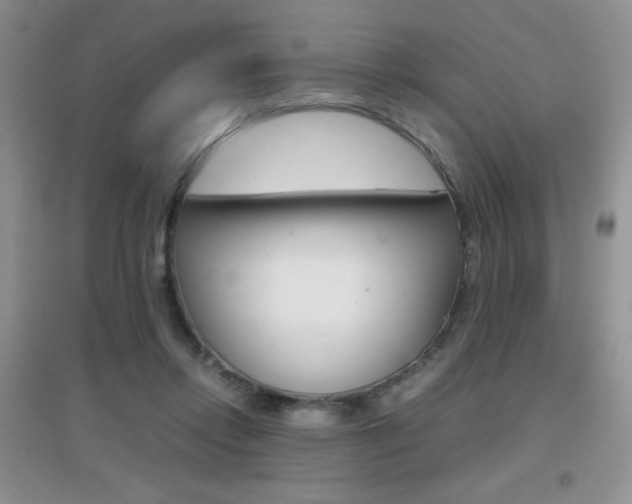 X0000096940358200802080903