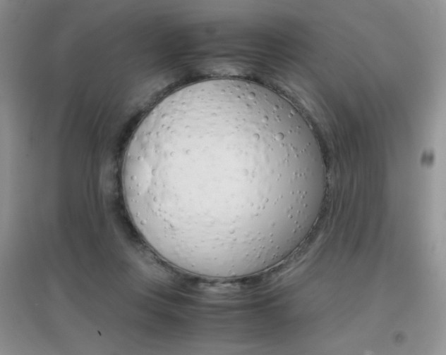 X0000096940359200802080903