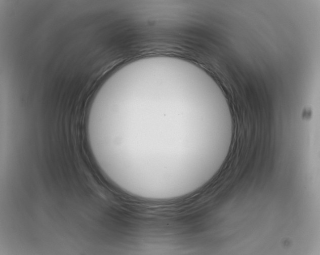 X0000096940360200802080903