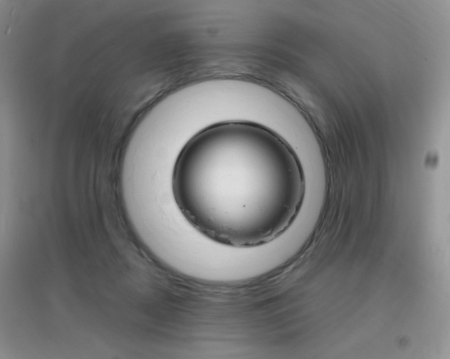 X0000096940362200802080904