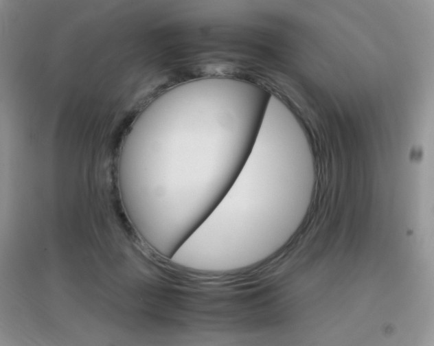 X0000096940363200802080904