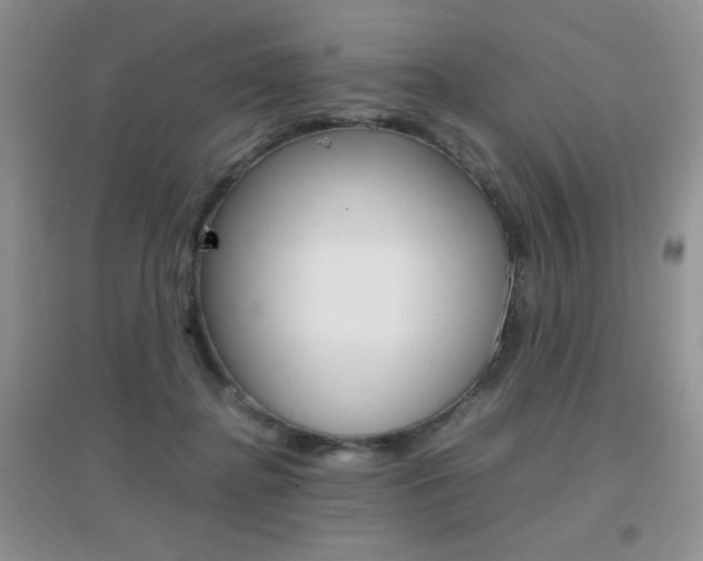 X0000096940364200802080904