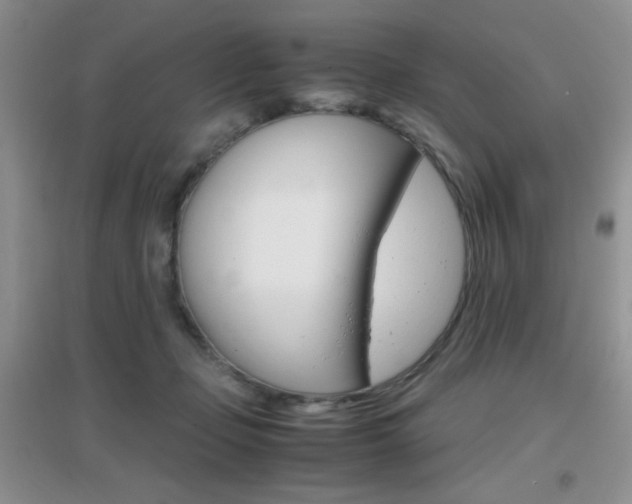 X0000096940365200802080904