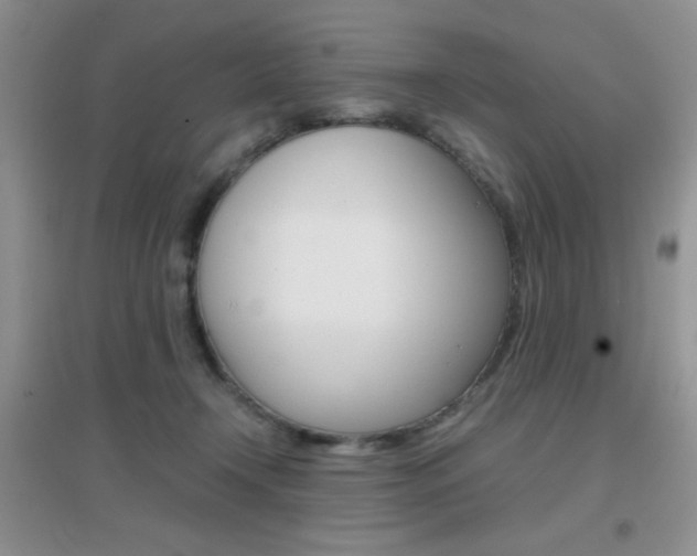 X0000096940366200802080904