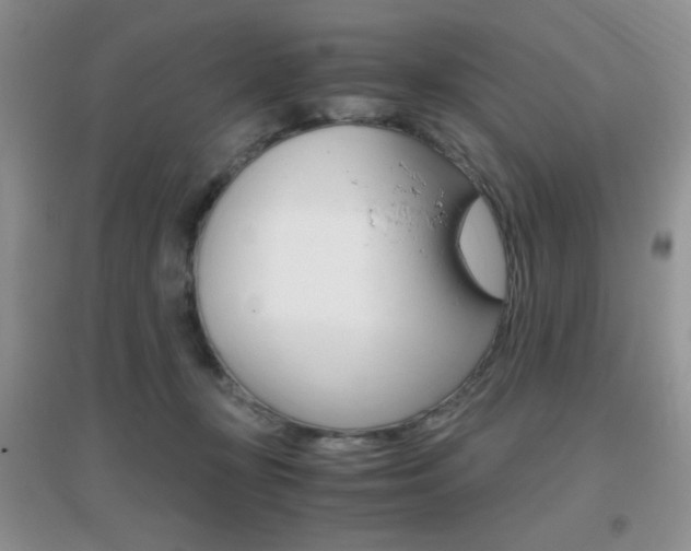 X0000096940367200802080904