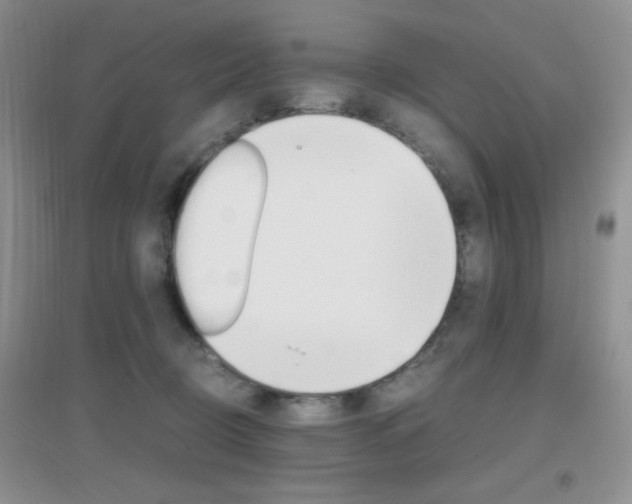 X0000096940370200802080904