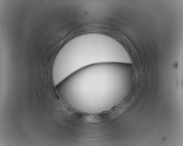 X0000096940372200802080904