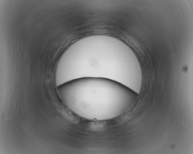 X0000096940373200802080904