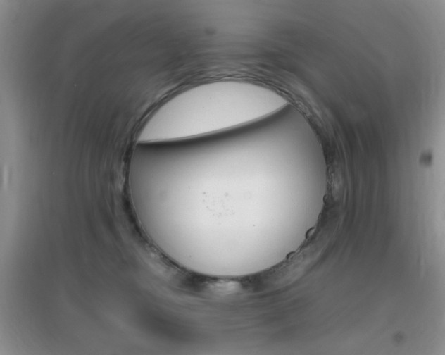 X0000096940374200802080904
