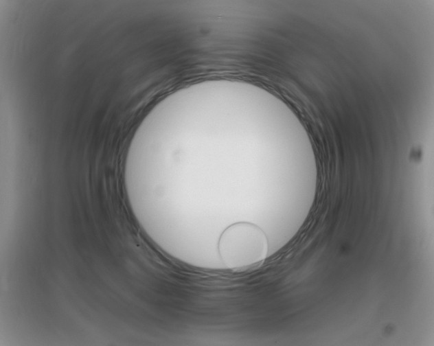 X0000096940376200802080904