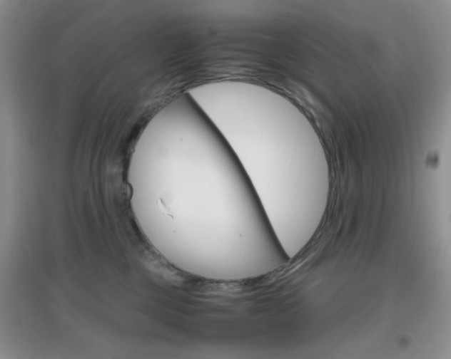 X0000096940377200802080904