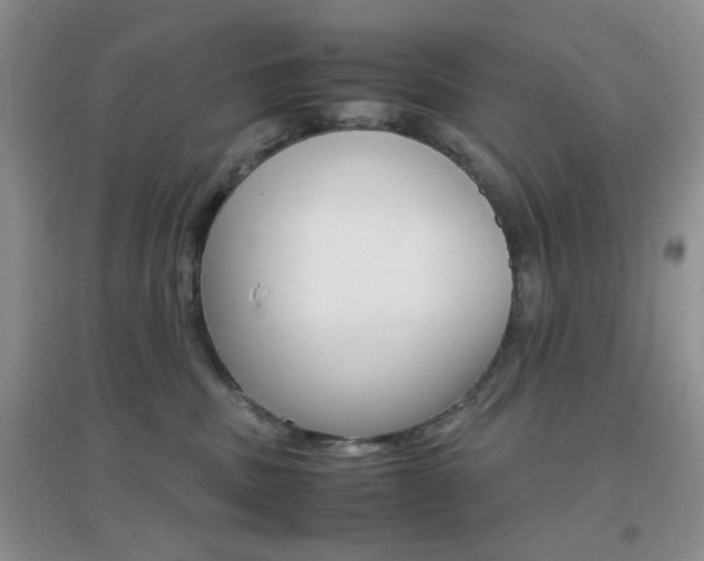 X0000096940379200802080904