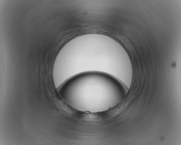 X0000096940380200802080904