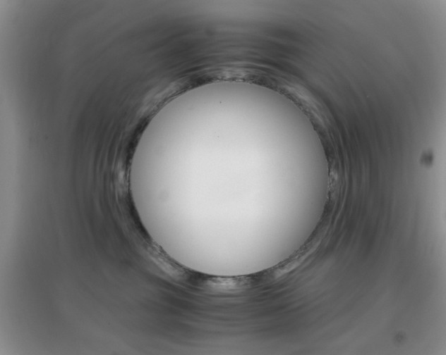 X0000096940381200802080904