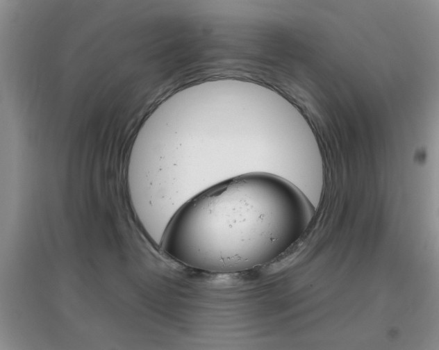 X0000096940382200802080904