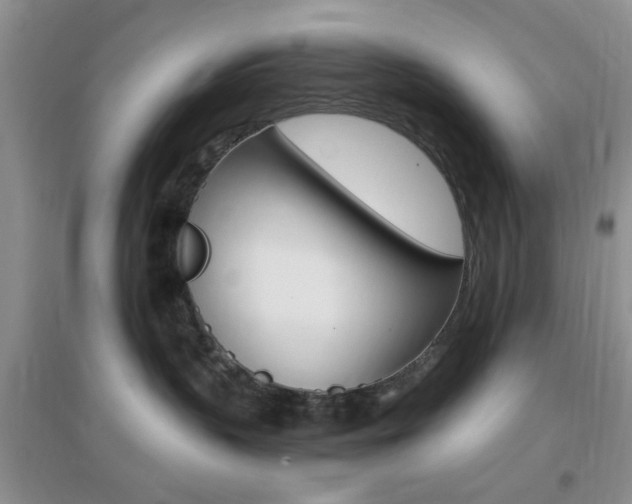 X0000096940383200802080904