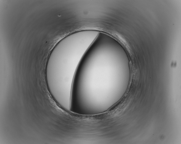 X0000096940385200802080903