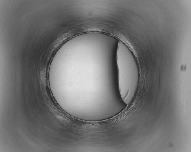 X0000096940386200802080903