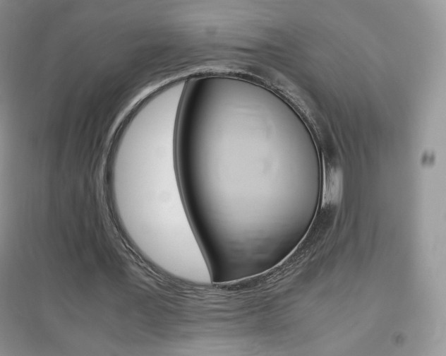 X0000096940387200802080903