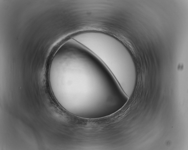 X0000096940388200802080903