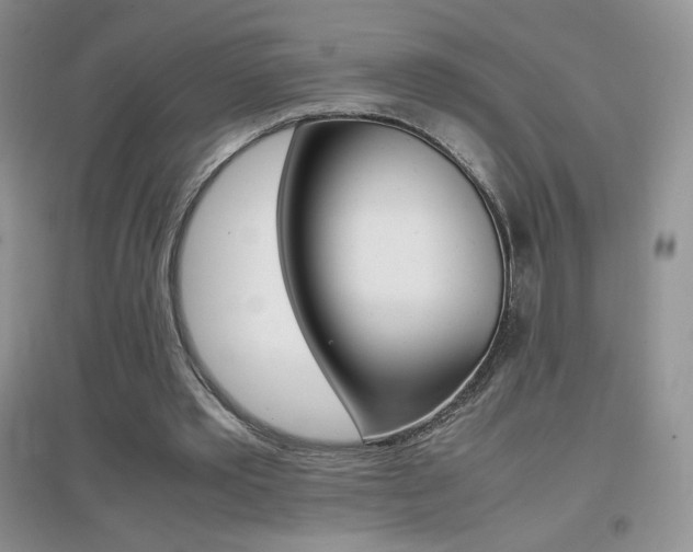 X0000096940389200802080903
