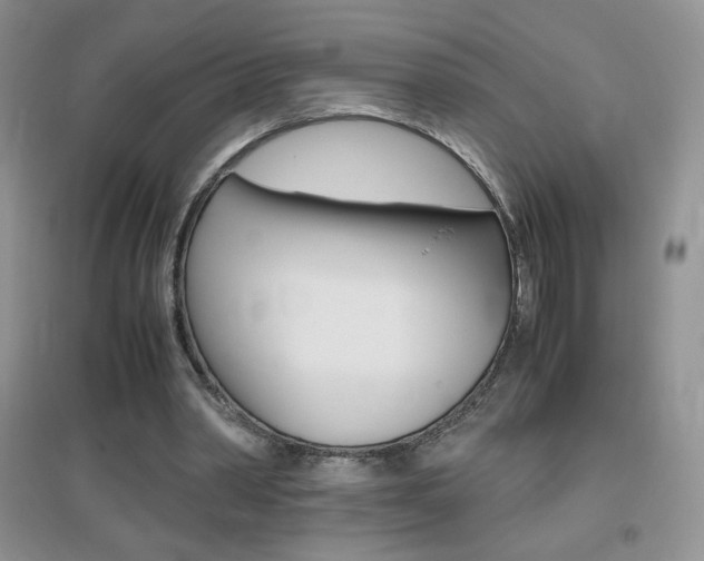 X0000096940390200802080903