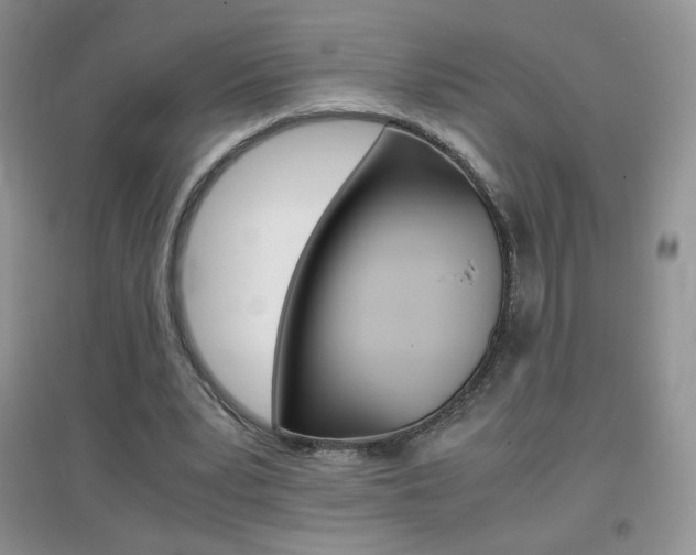 X0000096940391200802080903