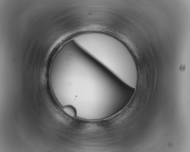 X0000096940392200802080903