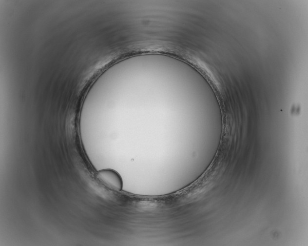 X0000096940394200802080903
