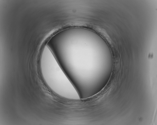 X0000096940395200802080903