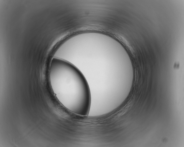 X0000096940396200802080903