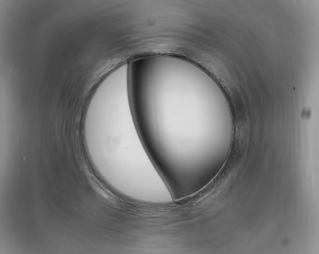 X0000096940397200802080903