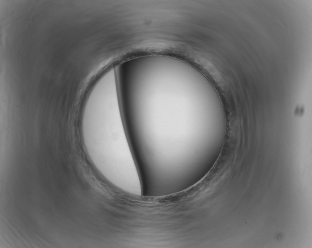 X0000096940399200802080903