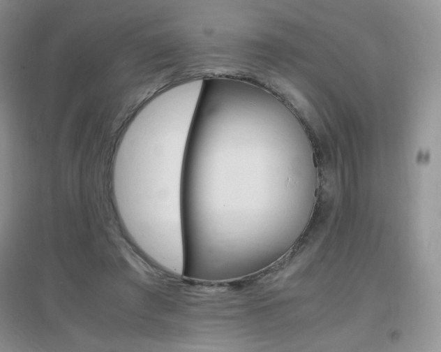 X0000096940401200802080903
