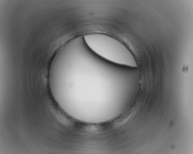 X0000096940402200802080903