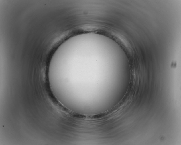 X0000096940404200802080903
