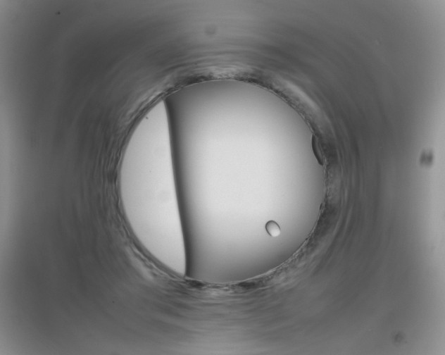 X0000096940405200802080903