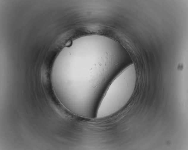 X0000096940408200802080903