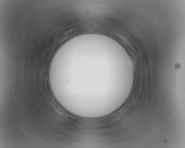 X0000096940409200802080903