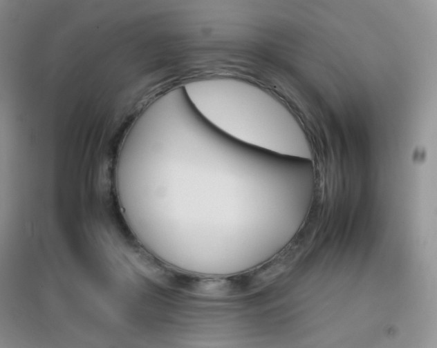 X0000096940410200802080903