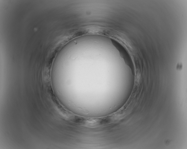 X0000096940411200802080903