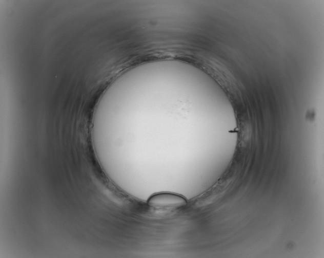 X0000096940414200802080903