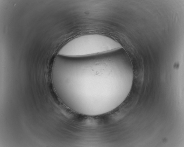 X0000096940416200802080903
