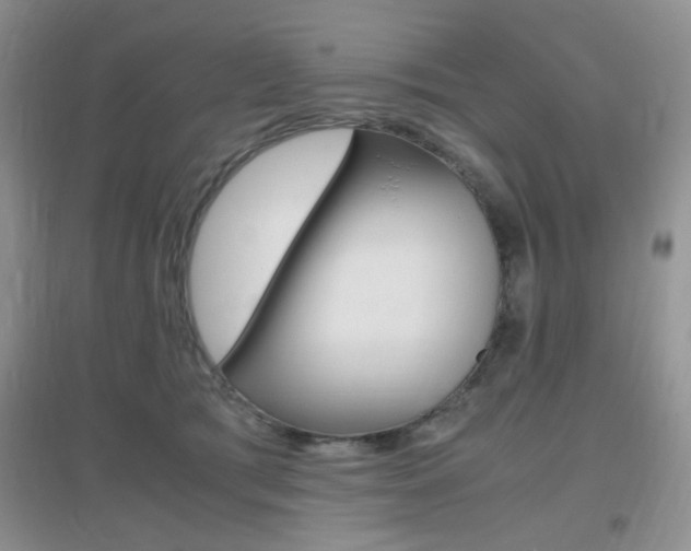X0000096940417200802080903