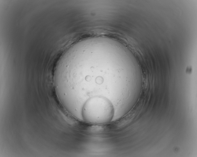 X0000096940418200802080903
