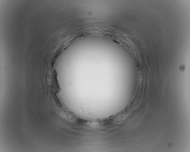 X0000096940419200802080903
