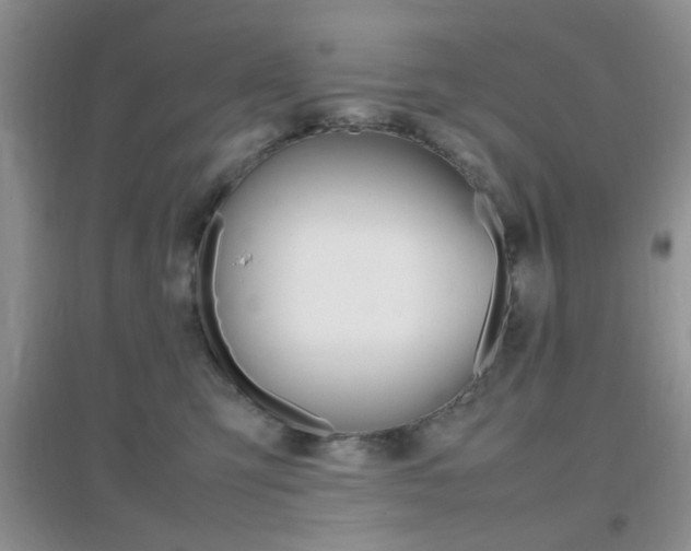 X0000096940423200802080903